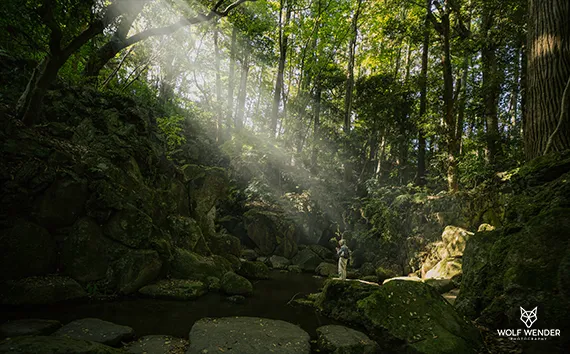 SEO Agentur Leipzig - Suchmaschinenoptimierung in Ihrer Naehe
