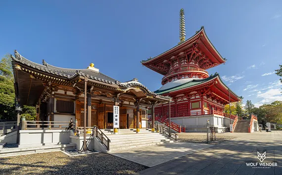 SEO Agentur Dresden - Suchmaschinenoptimierung in Ihrer Naehe