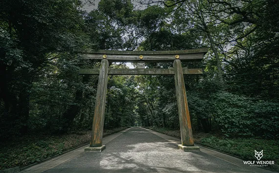 SEO Agentur Dessau-Rosslau - Suchmaschinenoptimierung in Ihrer Naehe