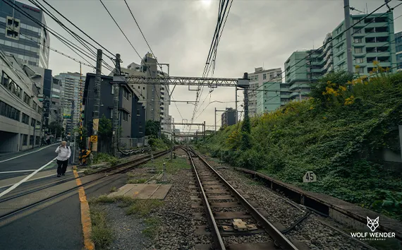 SEO Agentur Merseburg - Suchmaschinenoptimierung in Ihrer Naehe