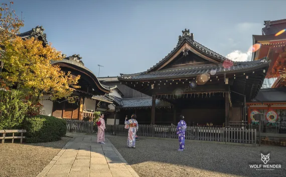 SEO Agentur Lutherstadt Wittenberg - Suchmaschinenoptimierung in Ihrer Naehe