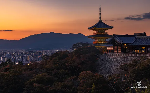 Mitteldeutschland - SEO Agentur fuer Sachsen-Anhalt und Sachsen