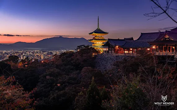 SEO-Beratung und Strategieentwicklung - Professionelle SEO-Beratung