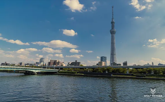 FAQ - Häufig gestellte Fragen zu SEO Service Halle