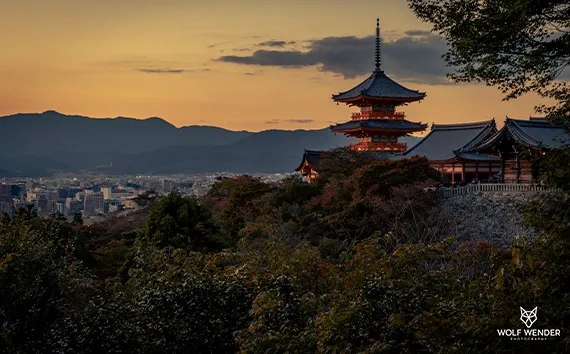Local SEO - Lokale Sichtbarkeit für Ihr Unternehmen in Halle (Saale)